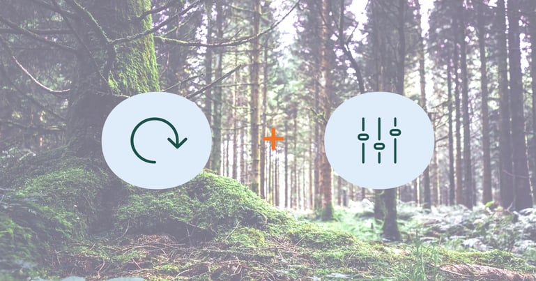 Teaserbild Projektmanagement in Agilitaet mit Icons vor Waldstimmung
