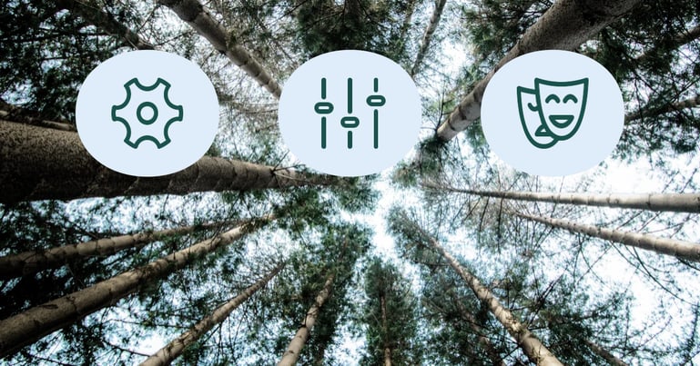 Icons zu Digital Capabilities vor Waldstimmung