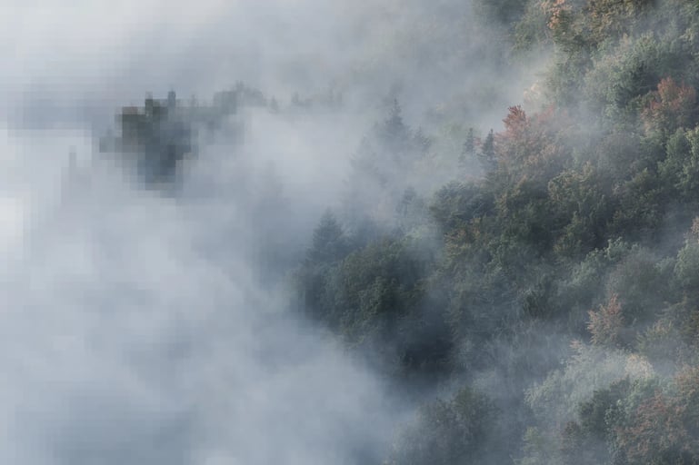 Wald mit sich lichtendem Nebel, verpixelt