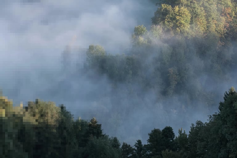 Wald mit sich lichtendem Nebel, verpixelt
